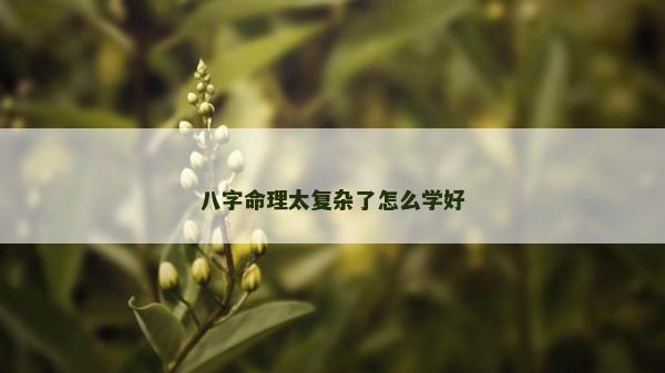 八字命理太復雜了怎么學好