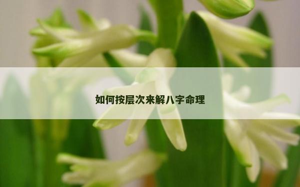 如何按層次來解八字命理