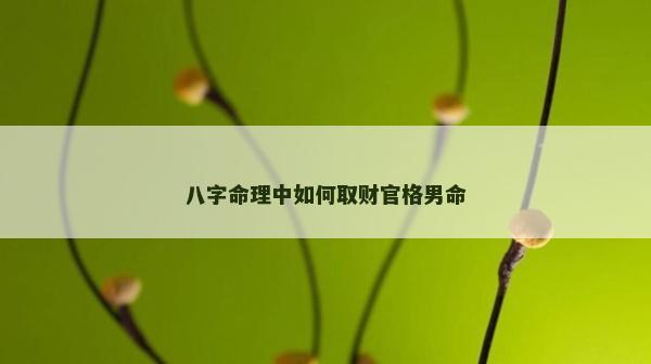 八字命理中如何取財官格男命