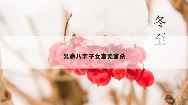 男命八字子女宮無官殺