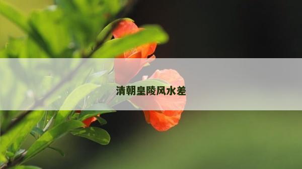 清朝皇陵風(fēng)水差
