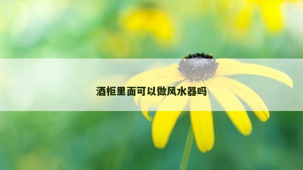 酒柜里面可以做風水器嗎