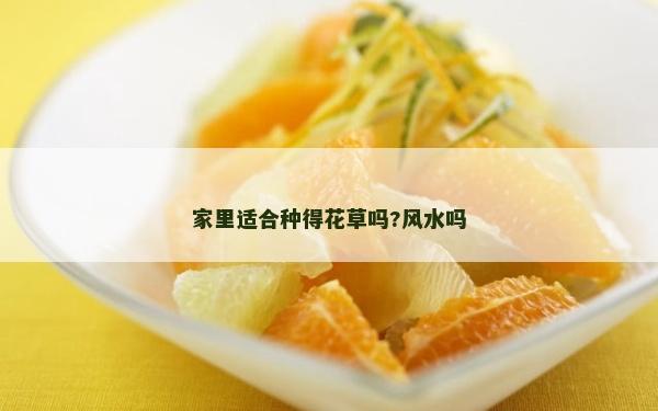 家里適合種得花草嗎?風水嗎