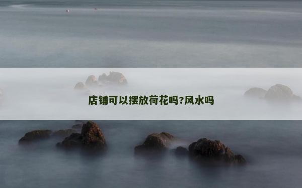 店鋪可以擺放荷花嗎?風(fēng)水嗎