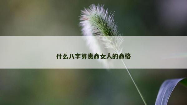 什么八字算貴命女人的命格