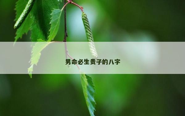 男命必生貴子的八字