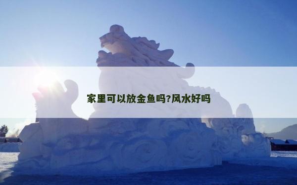 家里可以放金魚嗎?風水好嗎