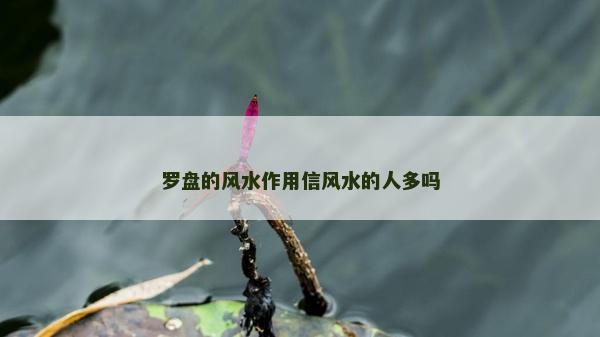 羅盤的風(fēng)水作用信風(fēng)水的人多嗎