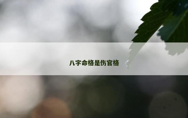 八字命格是傷官格