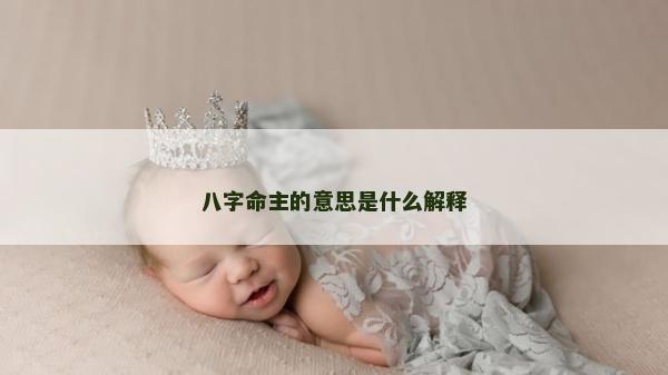 八字命主的意思是什么解釋