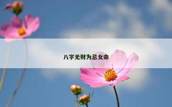 八字無財為忌女命