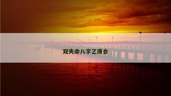 雙夫命八字乙庚合