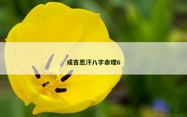 成吉思汗八字命理6 成吉思汗八字命理6