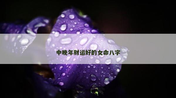 中晚年財運好的女命八字