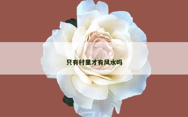 只有村里才有風(fēng)水嗎 只有村里才有風(fēng)水嗎