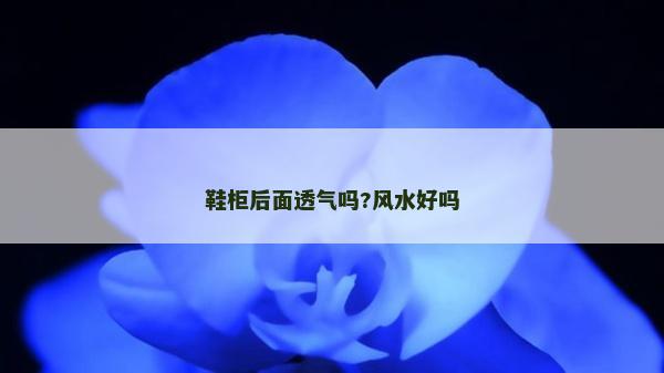 鞋柜后面透氣嗎?風水好嗎