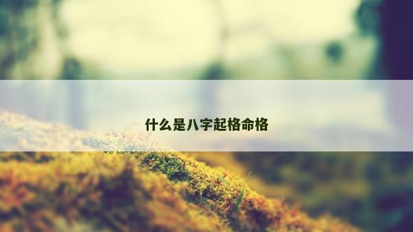 什么是八字起格命格