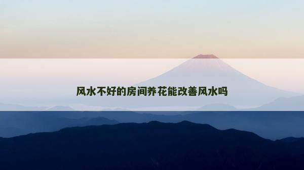 風水不好的房間養花能改善風水嗎