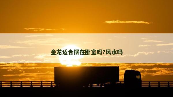 金龍適合擺在臥室嗎?風水嗎
