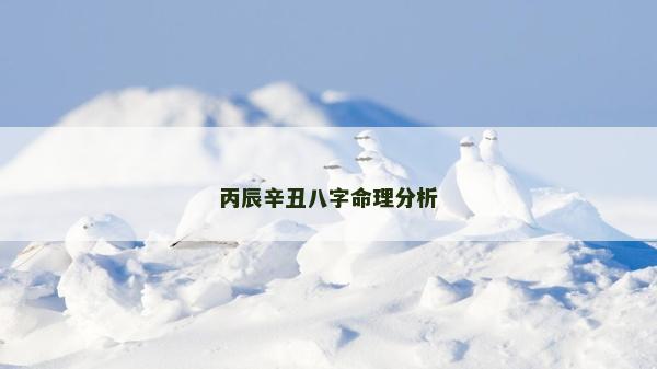 丙辰辛丑八字命理分析
