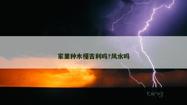 家里種木槿吉利嗎?風水嗎