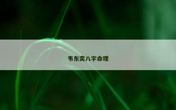 韋東奕八字命理