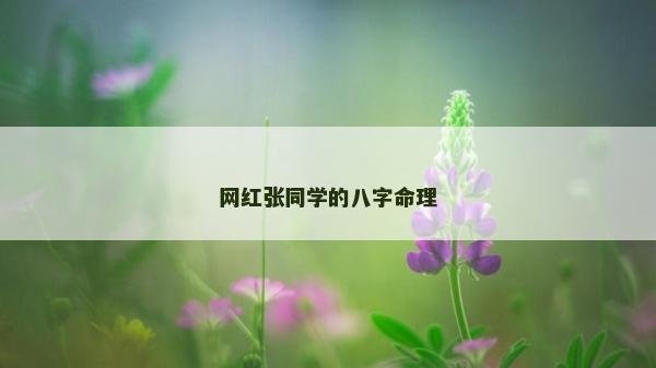 網(wǎng)紅張同學(xué)的八字命理