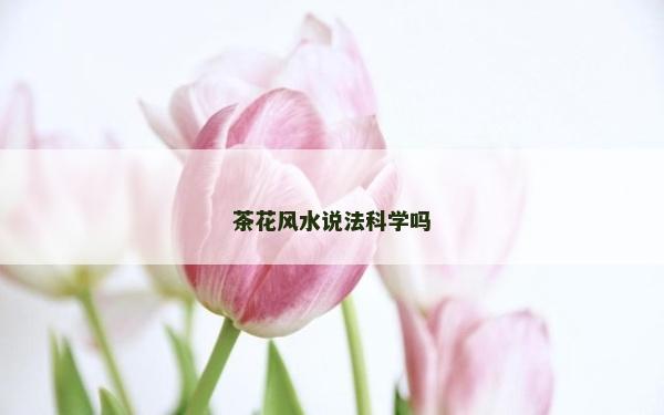 茶花風水說法科學嗎