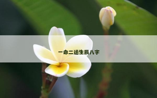 一命二運生辰八字