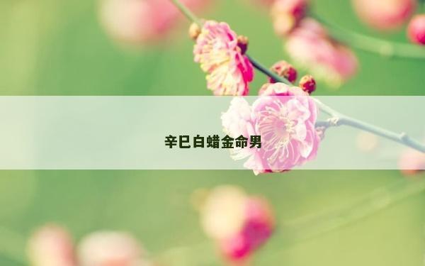 辛巳白蠟金命男
