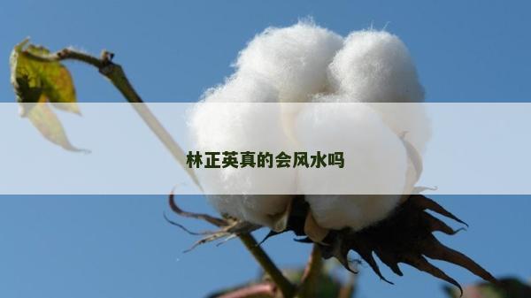 林正英真的會(huì)風(fēng)水嗎