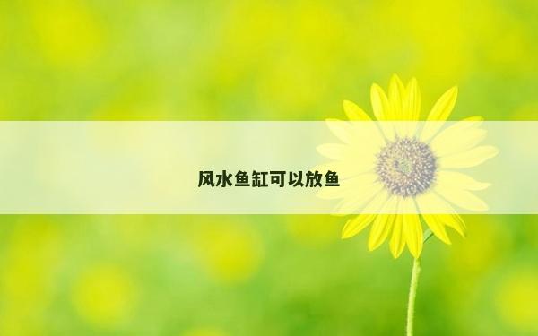 風水魚缸可以放魚
