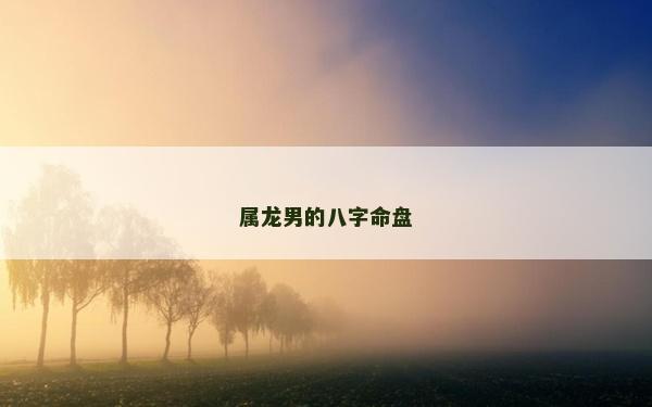 屬龍男的八字命盤