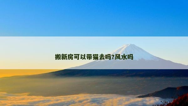 搬新房可以帶貓去嗎?風水嗎