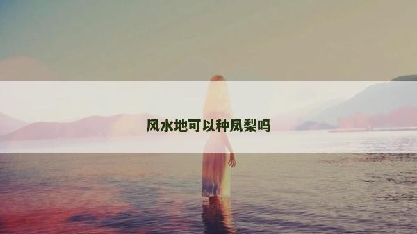 風水地可以種鳳梨嗎