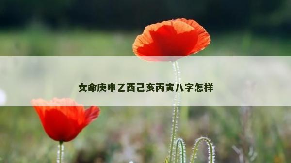 女命庚申乙酉己亥丙寅八字怎樣