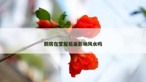 廚房在堂屋后面影響風水嗎