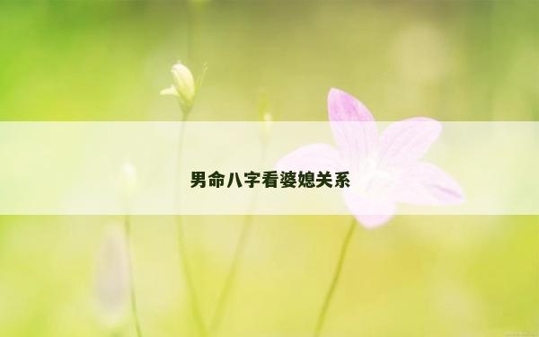 男命八字看婆媳關系