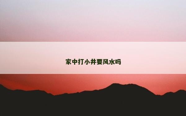 家中打小井要風水嗎