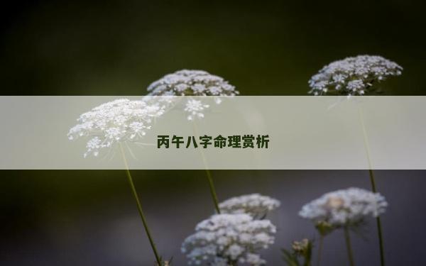 丙午八字命理賞析