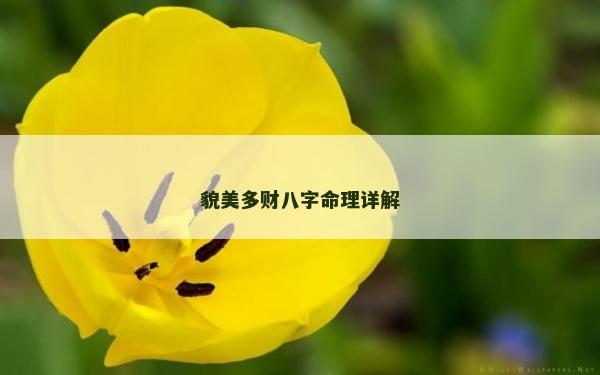貌美多財八字命理詳解