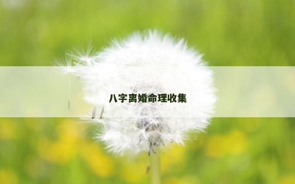 八字離婚命理收集