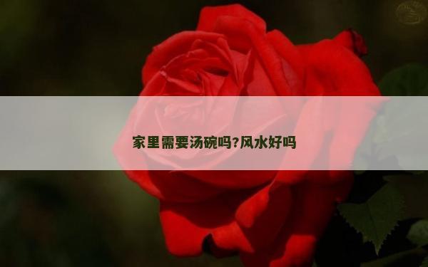 家里需要湯碗嗎?風水好嗎