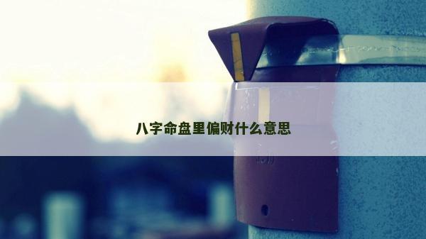 八字命盤里偏財(cái)什么意思