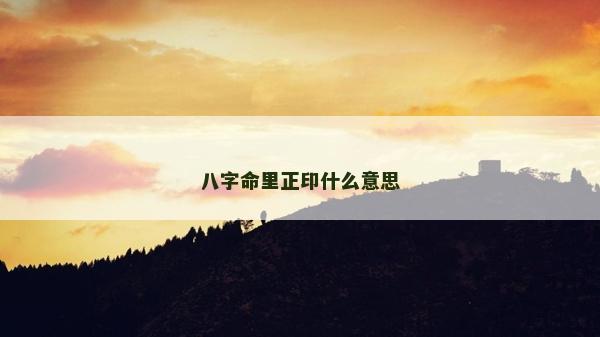 八字命里正印什么意思