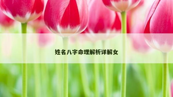 姓名八字命理解析詳解女