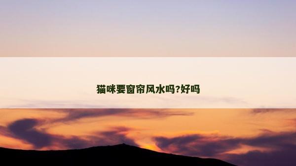 貓咪要窗簾風水嗎?好嗎