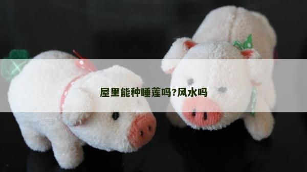 屋里能種睡蓮嗎?風(fēng)水嗎