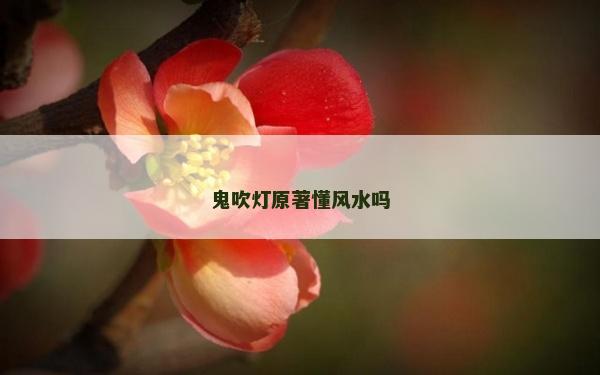 鬼吹燈原著懂風水嗎