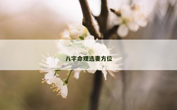 八字命理選妻方位